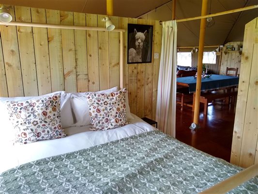 king bedroom safari tent 